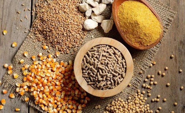 Over 9 bln USD spent on import of animal feed raw materials